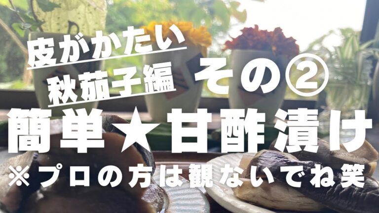 【皮がかたい秋茄子】#甘酢漬け #なすレシピ #簡単レシピ #プロの方は観ないでね #山形 #隠れ家サロン #それいゆの家