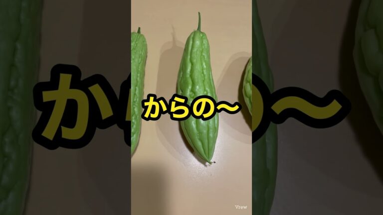 サラダゴーヤからのサラダゴーヤ！# 料理 #ゴーヤ #shirts