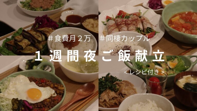 【食費月２万】同棲２人暮らし１週間の夜ご飯献立#7/狭いキッチンでも頑張る２４歳/ガパオライス・デトックススープ・ナスのアレンジレシピ