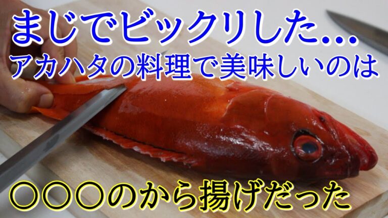 アカハタのさばき方と握り、煮つけ、唐揚げの作り方