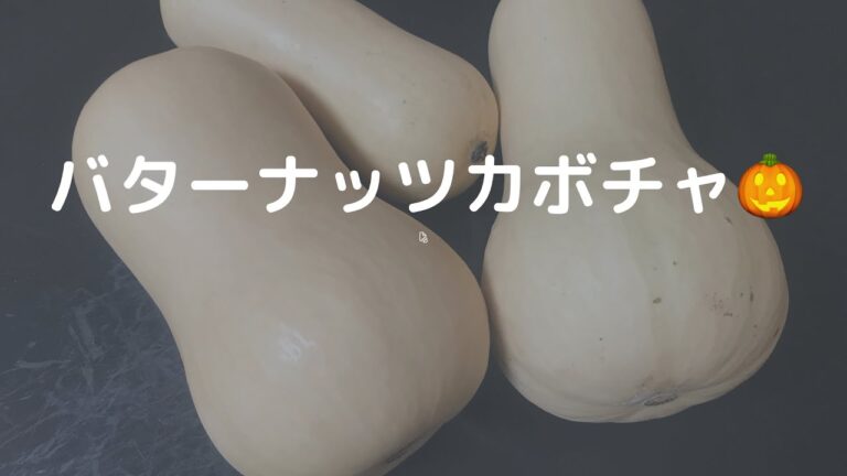 頂いたバターナッツカボチャ🎃スープにしてみました【2021/8/13】