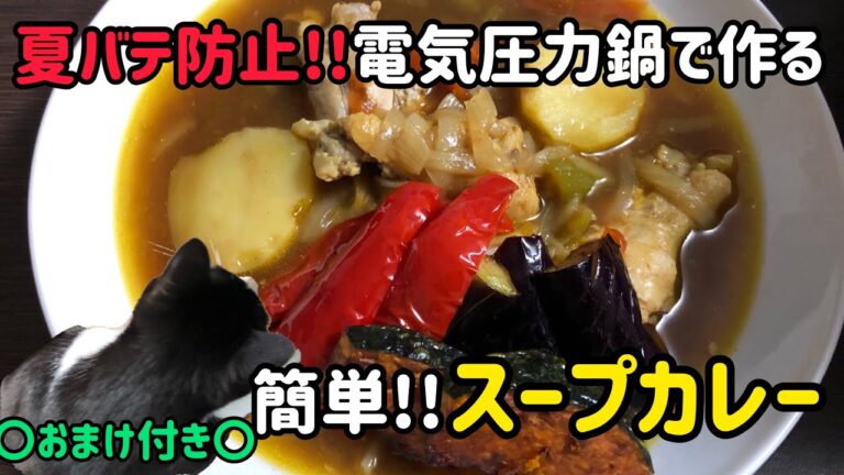 【電気圧力鍋】夏バテ防止!!鶏肉ホロホロ!!簡単スープカレー(KPC-MA2)
