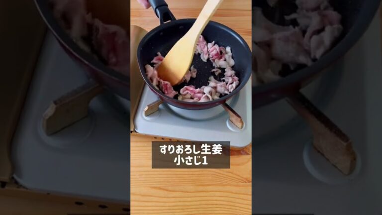 悪魔的に美味しい！ヤンニョム生姜焼き丼