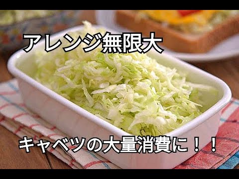 【キャベツ・作り置きレシピ】キャベツの消費に！！あれば役立つ塩もみキャベツとアレンジレシピ