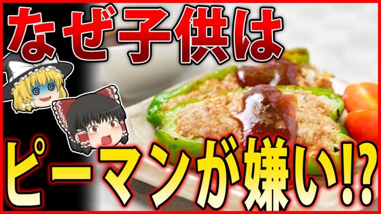 【ゆっくり解説】ピーマン嫌いの子供が多い意外な事実とは？【食と健康のゆっくり解説】