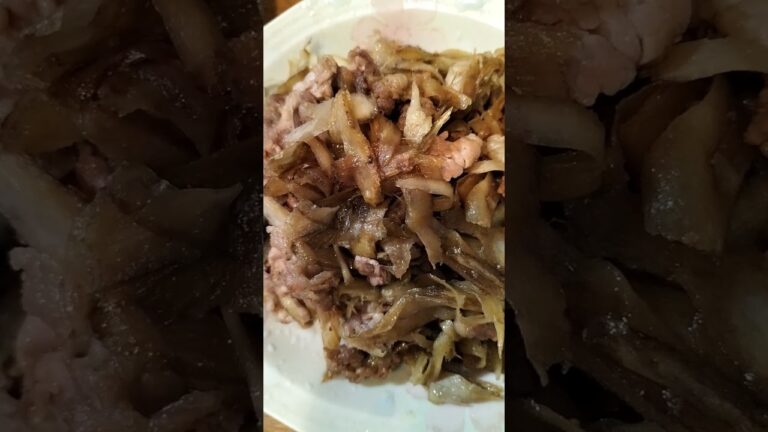 肉ごぼう　10月23日　＃Shorts