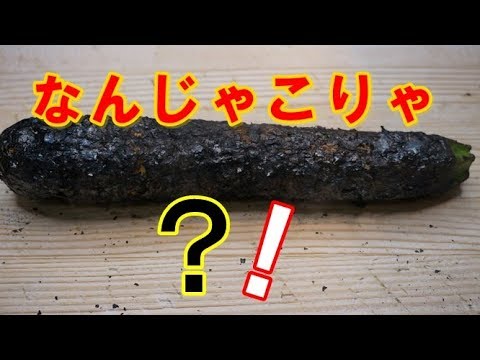 【ズッキーニ黒焼き】の作り方！ｂｙまかないチャレンジ！