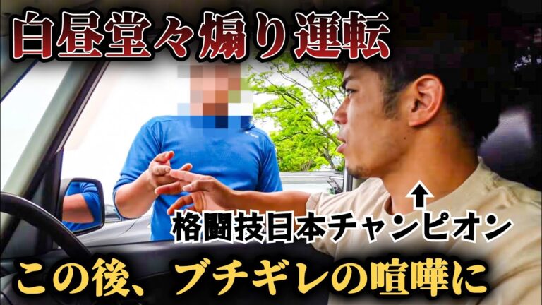 白昼堂々煽り運転に遭ったので返り討ちにしました