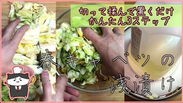 【料理レシピ】春キャベツの浅漬けの作り方【切って揉んで放置でOK】
