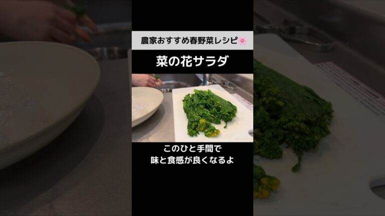 茹でなくていい！菜の花を美味しく食べるレシピ｜菜の花のクリームチーズサラダ【レンジで15分レシピ】