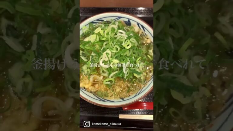 これ食べたら丸亀製麺にハマる