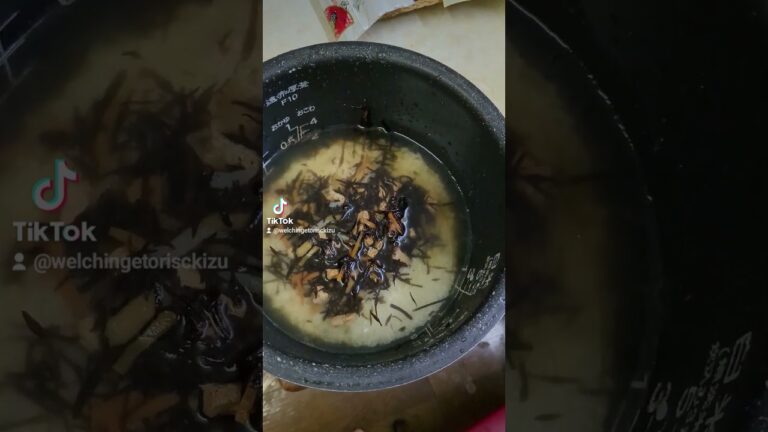 ひじき鶏炊き込みご飯つくりました