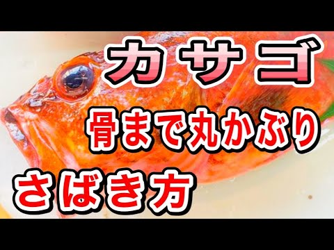 カサゴさばき方【カサゴから揚げ】骨まで唐揚げ下処理から二度揚げ　How to filet Japanese Stingfish