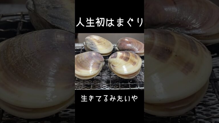 ハマグリの中が気持ち悪すぎた…　#shorts