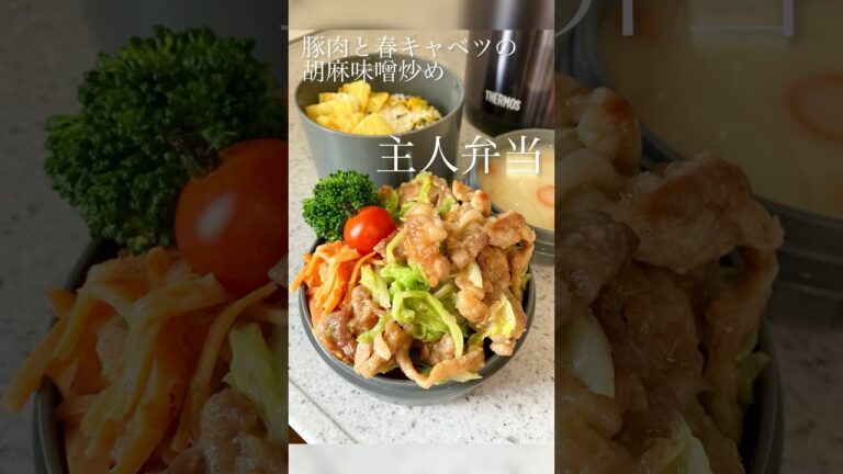主人弁当☆豚肉と春キャベツ胡麻味噌炒め #お弁当 #料理 #子育て #miiクッキング