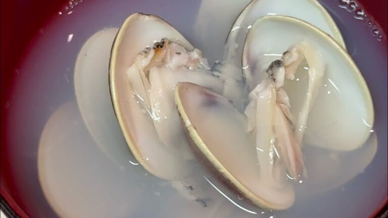 那珂湊産　絶品ハマグリのお吸い物　白い出汁が最高です #料理 #ハマグリ #お吸い物