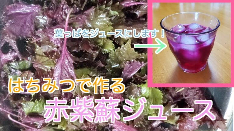 【美容ドリンク】はちみつで作る赤紫蘇ジュースの作り方！