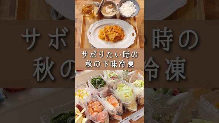 献立に悩まなくてすむ！長期保存できる下味冷凍レシピ！10分で出来る晩ごはん #下味冷凍 #献立 #時短ごはん #shorts