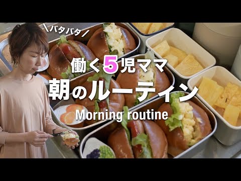【モーニングルーテイン】お弁当のマンネリ回避！シチューとロールパンサンド｜Bento box lunch ideas