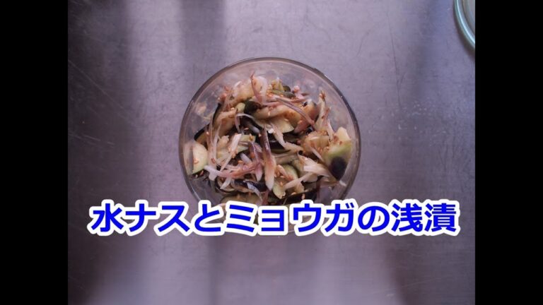 【節約】お弁当作り置き！水ナスとミョウガの浅漬