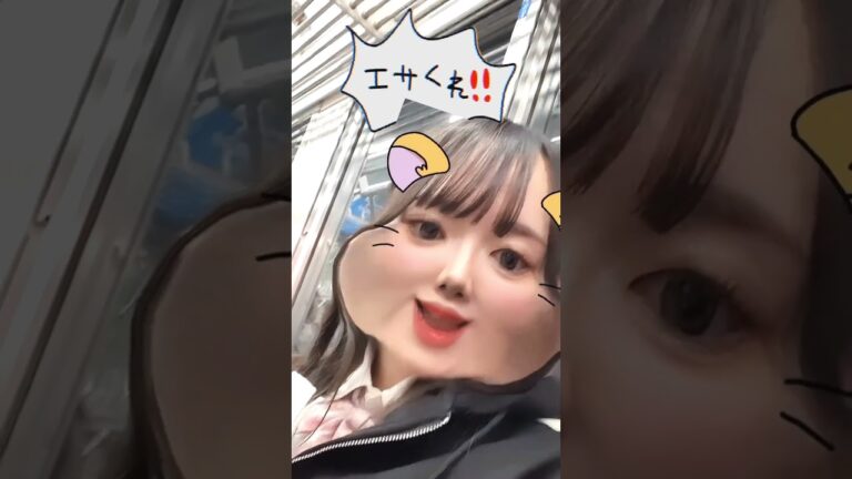 ◆エサくれ！！◆ #ひめちゃんとおうくん #プリンセス姫スイートtv #shorts