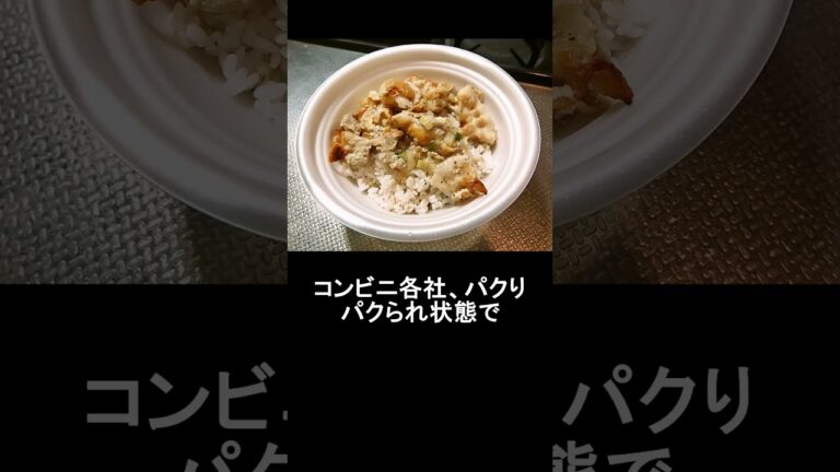 『セブンイレブン』ねぎ塩豚カルビ丼、上げ底弁当過ぎて闇に葬ら（略 #セブンイレブン #弁当 #上げ底弁当 #豚カルビ丼