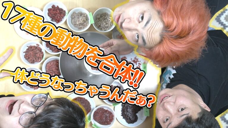 １７種類の肉を混ぜたハンバーグの味は何肉味になる！？