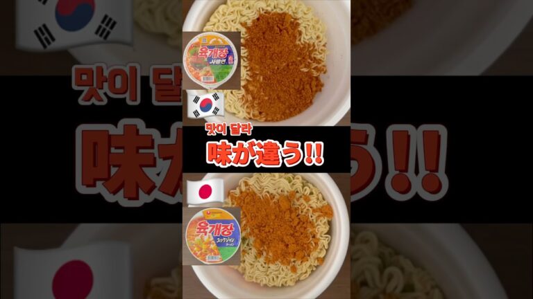 韓国版が優勝すぎる #ユッケジャンラーメン #육개장사발면 #한일비교 #日韓比較