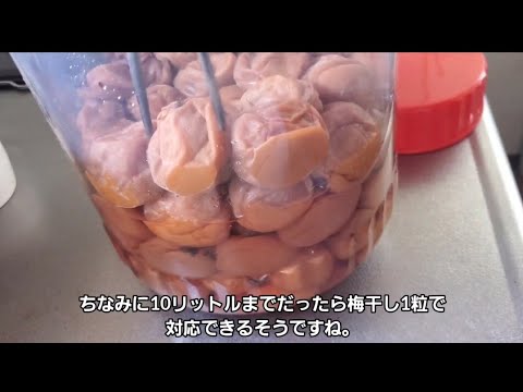 そうめんと梅干しを一緒に茹でるとコシがアップするらしい