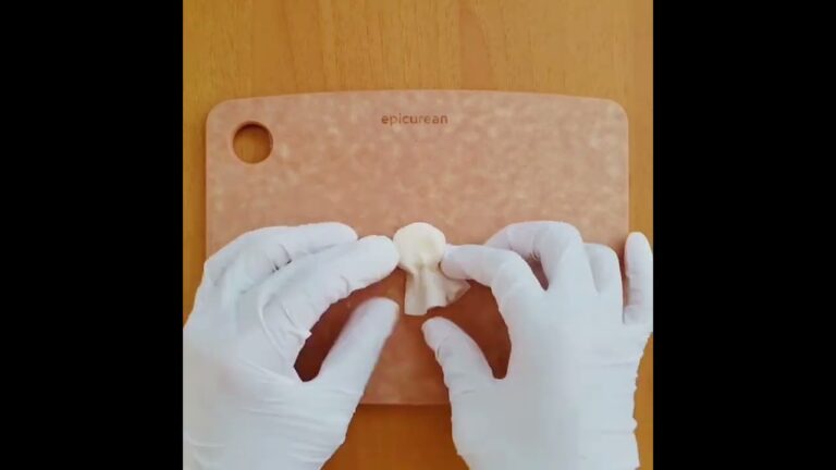 【お弁当】晴れろー！と願いを込めてつくる強運おかず  #遠足 #運動会 #shorts