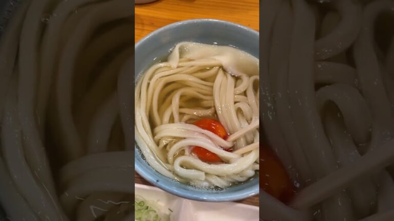 うどんは生き物なのがわかる動画