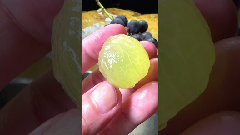 ピオーネの嗜み方 #shorts #ピオーネ #Pione