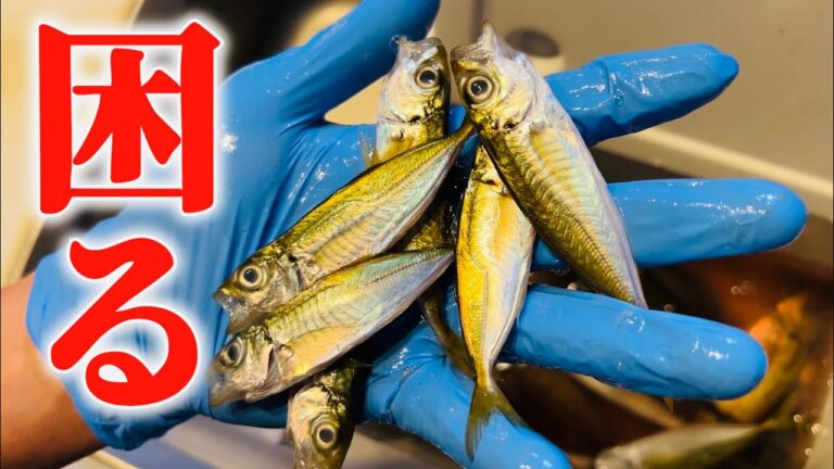 豆アジがサビキで釣れ過ぎた時はこれが絶対最適です。