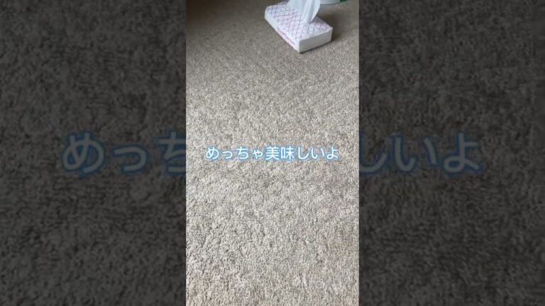 カニカマ揚げてみ！飛ぶぞ！