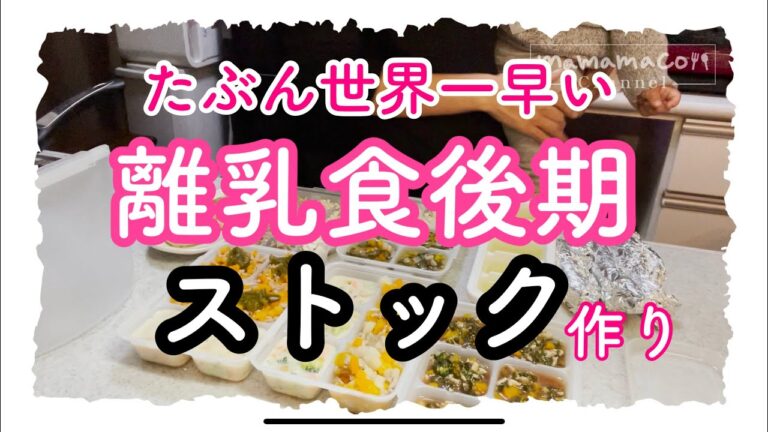 【離乳食後期】ストック作り　離乳食作り　めんどくさい離乳食作りをチャチャッと/