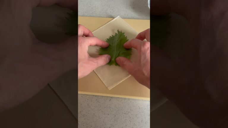 ささみしそチーズ春巻き#cooking #料理 #チーズ