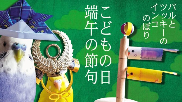 こどもの日 端午の節句【インコのぼり】の作り方