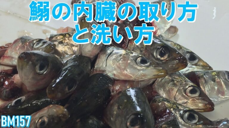 いわし内臓の取り方