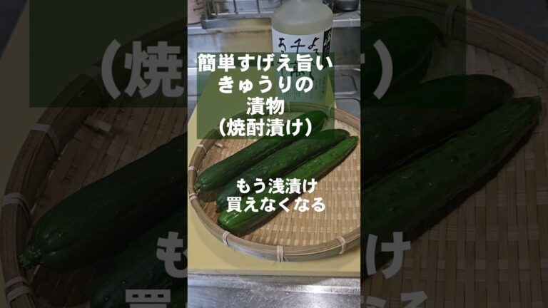 正直、感動する旨さ！簡単漬けるだけ きゅうりの漬物 焼酎漬け副菜 おつまみ 作り置きレシピ
