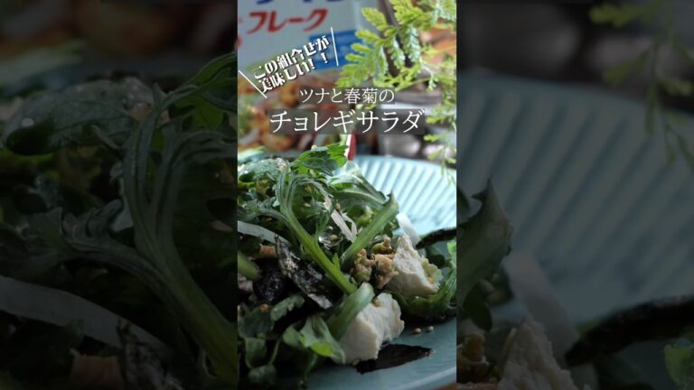 春菊のサラダとしてのポテンシャルを最大限引出す!!5分で完成「春菊とツナのチョレギサラダ」#簡単レシピ