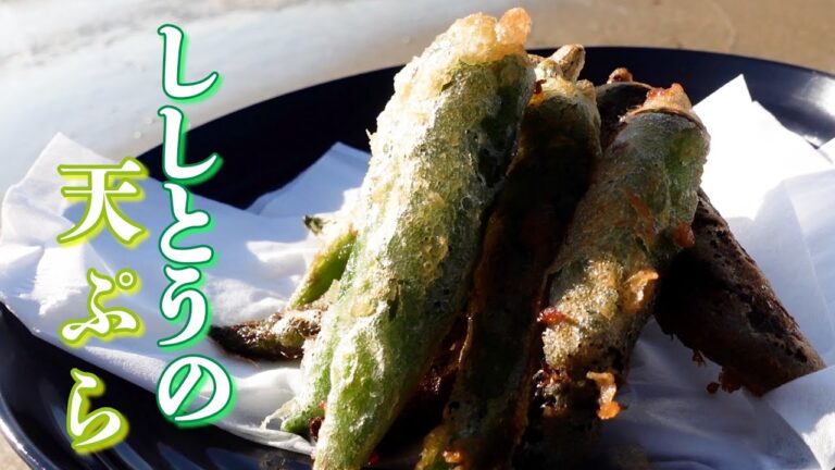 ほろ苦さが美味しいししとうを天ぷらに。塩をつけて、お酒のあてにどうぞ！