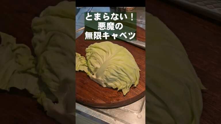 キャベツが一番旨い食い方。悪魔の無限キャベツ。 ご飯泥棒