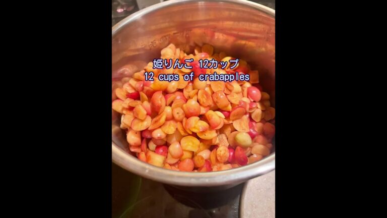 姫リンゴレシピ：シロップとアップルバター/Crabapple Recipes: Syrup & Applebutter #instantpot #インスタントポット　#crabapple #姫リンゴ