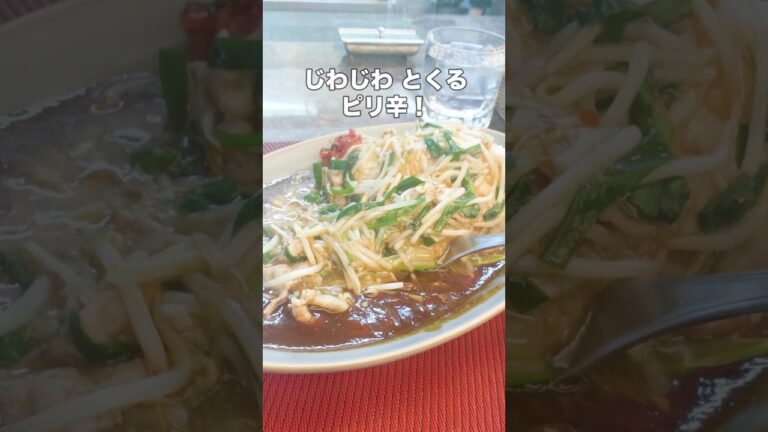世界初？ 京都が生んだ餡かけスタミナカレー - テルテルカレー