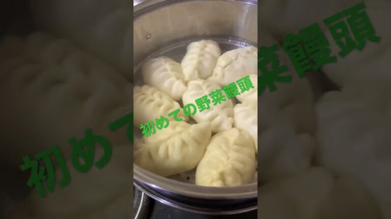 具たっぷり野菜饅頭作ってみた