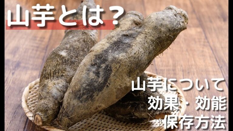 【TETONEZE KITCHEN】山芋とは？-効果効能や保存方法についてご紹介#山芋#沖縄#料理