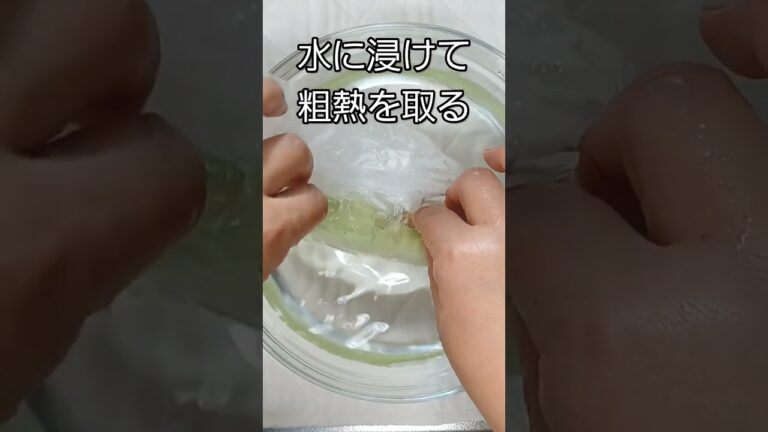 【冷蔵庫にあるもので簡単料理！】蒸しなす　ヘルパークッキング　北九州福祉サービス株式会社　#時短レシピ　#shorts