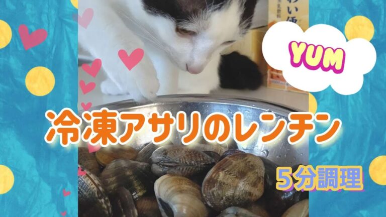 【過去動画】冷凍アサリを使った、レンチン酒蒸し　５分でできます