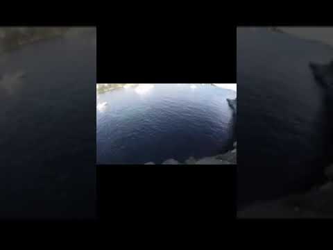 【閲覧注意】海洋恐怖症の人は見ないほうがいいです。　#shorts