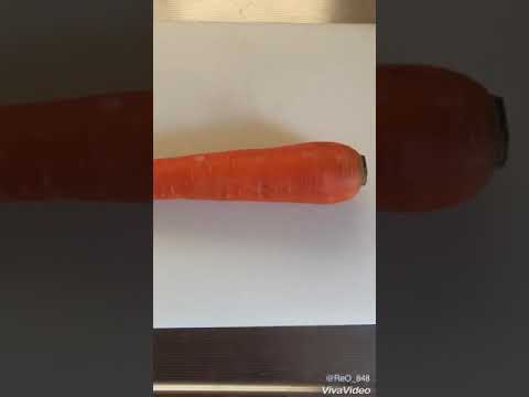 【料理】トマトの水分だけ！栄養たっぷりトマトチキンカレー！